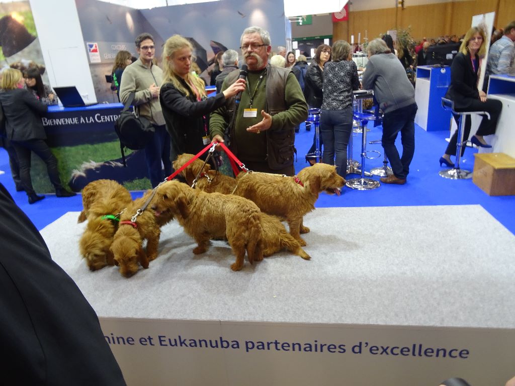 du Domaine D'Asgard - SALON DE L'AGRICULTURE 2017